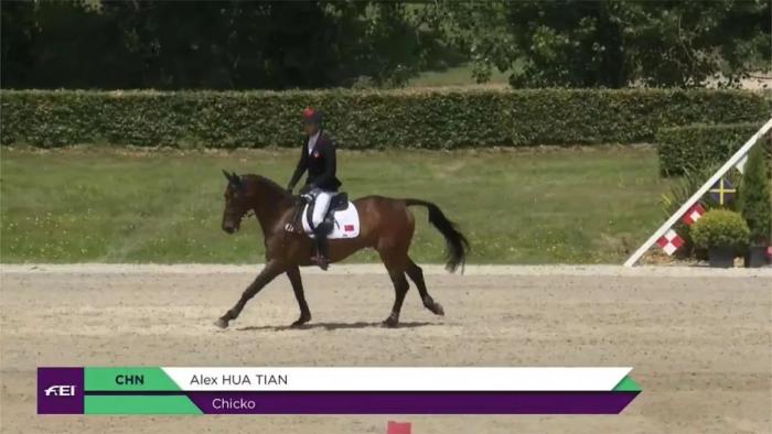 中国马术三项赛队在米尔斯特里特巴黎奥运资格