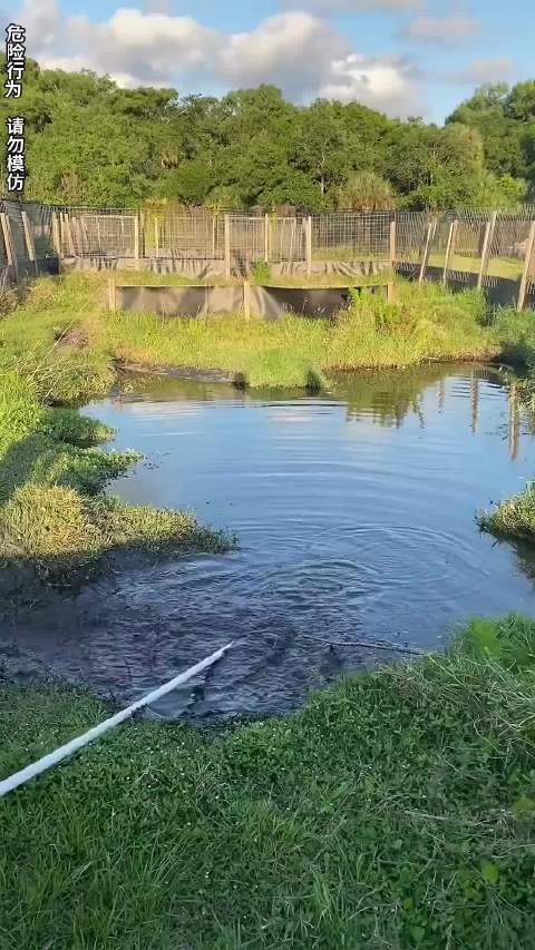 国足对阵库拉索关键战 阳江湛江篮球赛鳄鱼对决